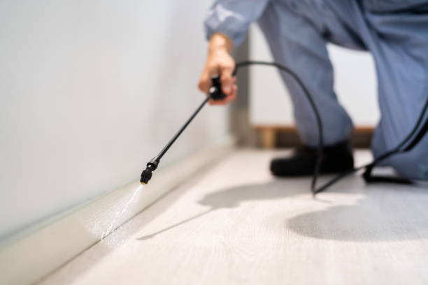 Rodent Entry Point Assessment in Frisco