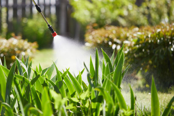 Tamper-Resistant Bait Stations for Rodents in Frisco