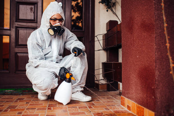 Attic and Crawl Space Rodent Treatment in Frisco